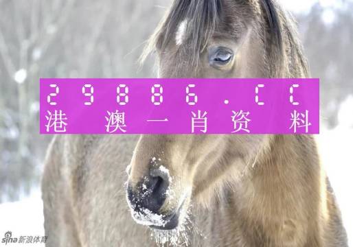 澳門一肖一碼100%精準(zhǔn)王中王,專業(yè)調(diào)查具體解析_UDC27.876旗艦款