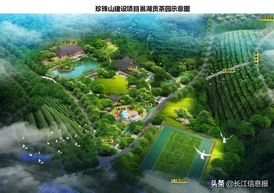 岳陽北港小學(xué)最新動態(tài)揭秘，校園新聞與活動更新