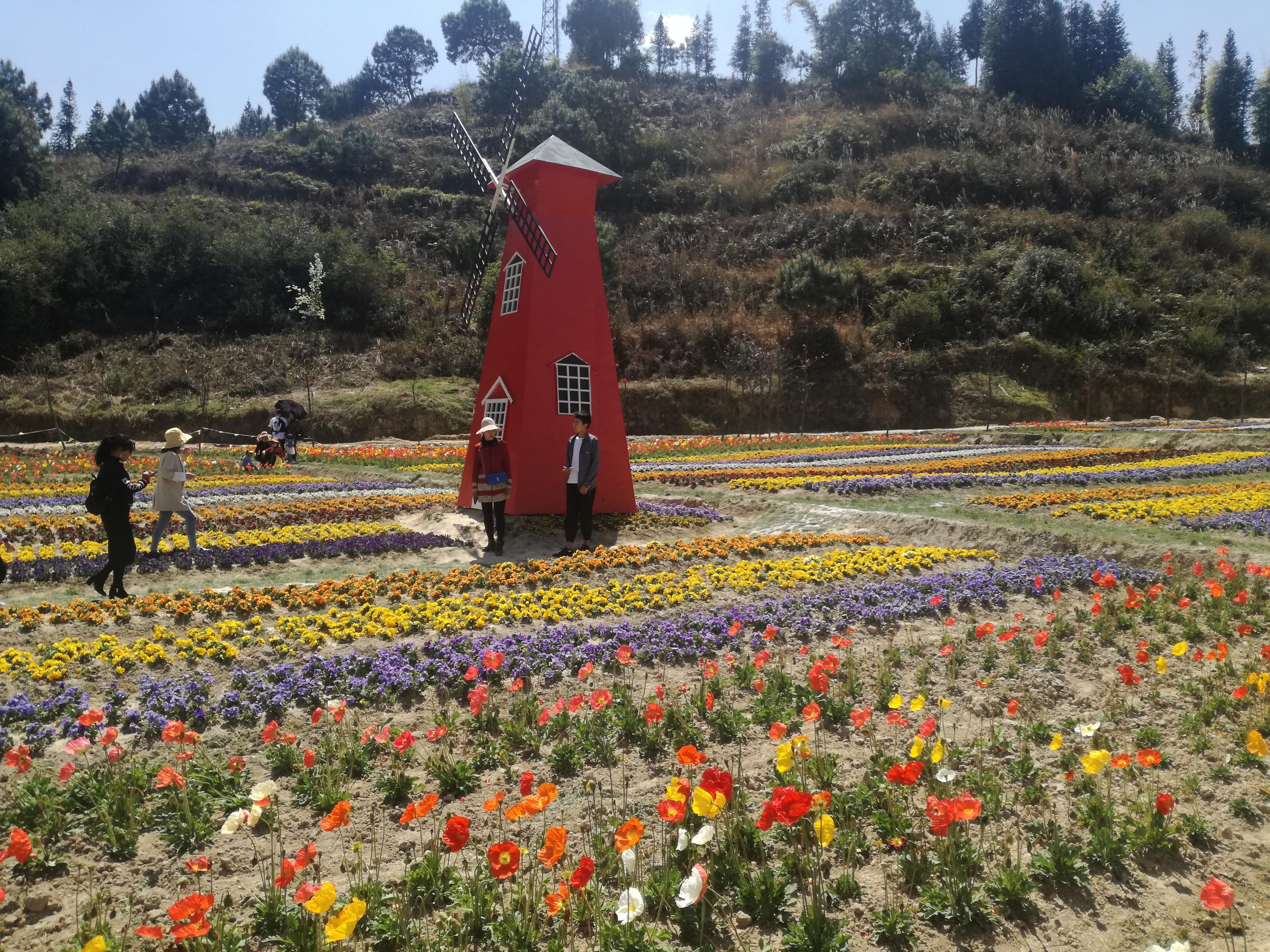 臨滄市最新探索，自然美景之旅，尋找內(nèi)心平和的旅程