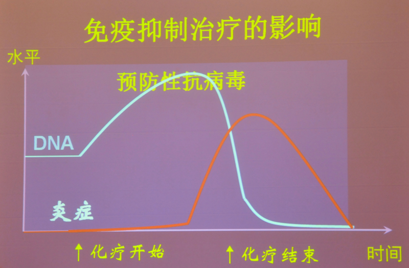 肝炎新進(jìn)展揭秘，小巷深處的秘密小店探索