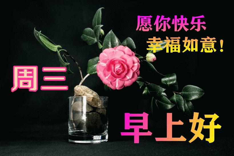 最新早晨問候動態(tài)表情包，溫馨問候，從表情開始！