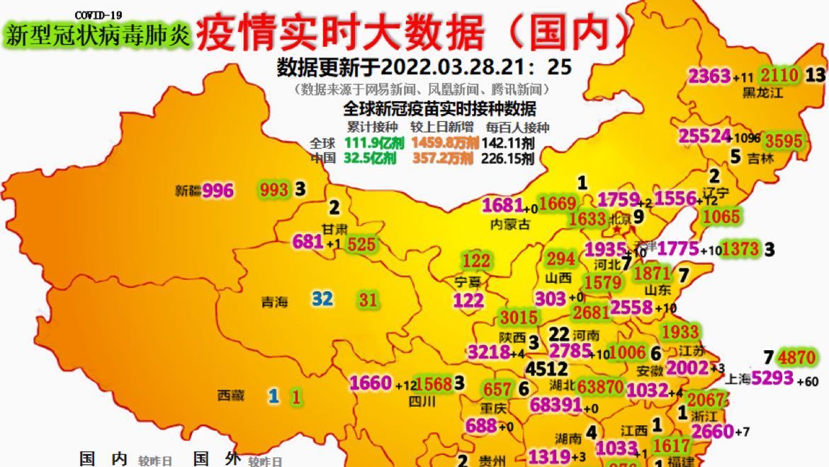 最新疫情動(dòng)態(tài)詳解，初學(xué)者與進(jìn)階用戶的步驟指南