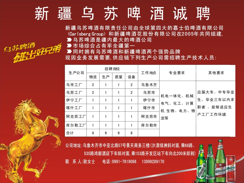 烏蘇政府最新招聘公告，應聘指南全解析