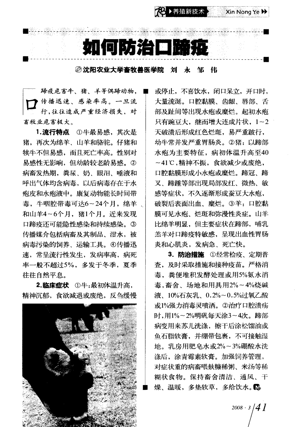 口蹄疫最新科研，自然探險與內(nèi)心平和的追尋之旅