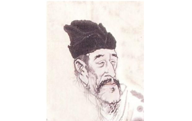 最新孤雁圖片，展現(xiàn)自然之美與深意的瞬間