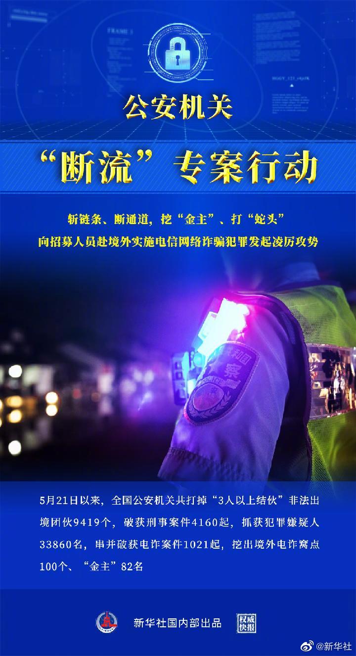 警方最新行動(dòng)，深入分析與觀點(diǎn)闡述的全面報(bào)告