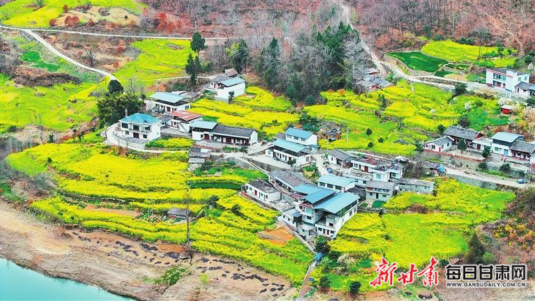 揭秘文縣，歷史背景、重大事件與時代地位全景展示