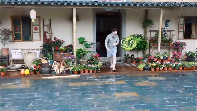 最新蘑菇屋，自然與生活完美融合的夢幻之地