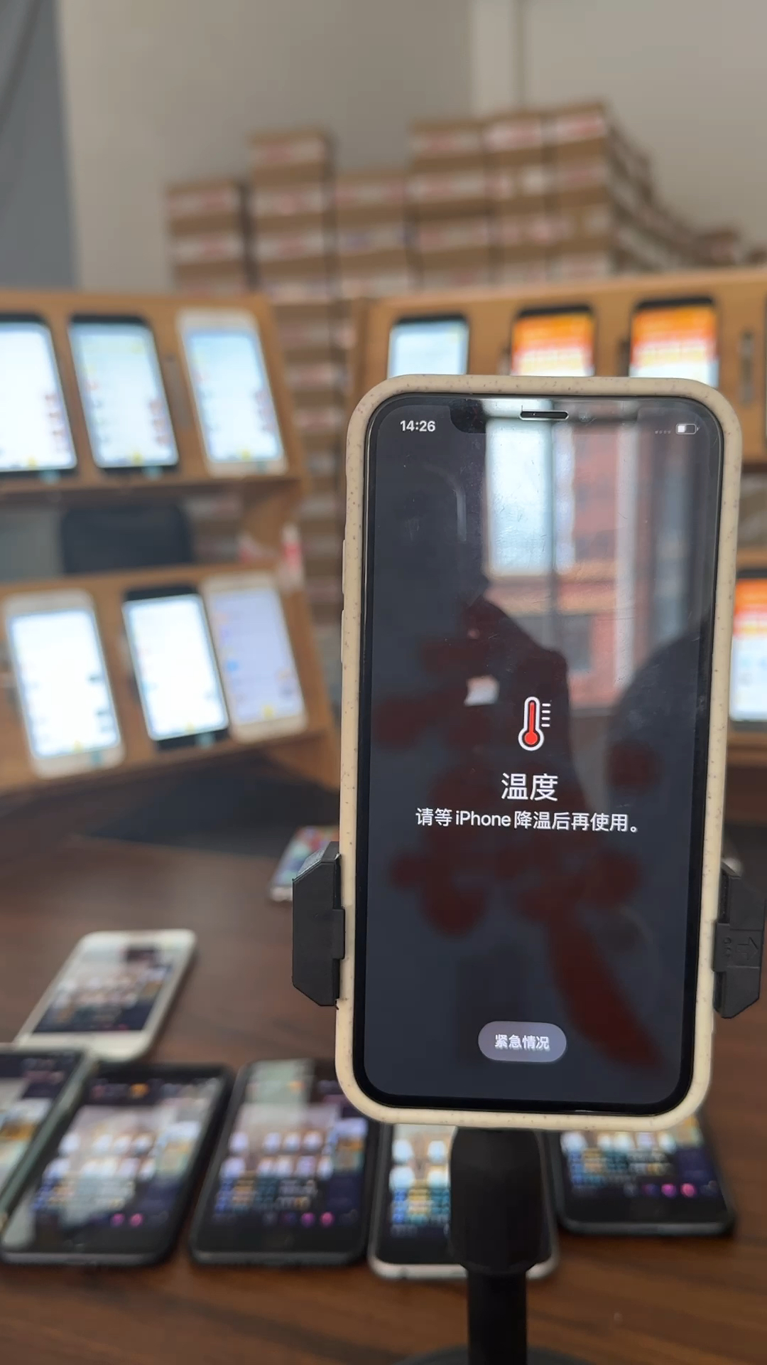 蘋(píng)果最新直播，科技與文化的完美融合盛宴