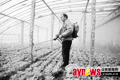 最新農(nóng)藥抽檢結(jié)果出爐，守護(hù)農(nóng)田安全，你我他的共同責(zé)任