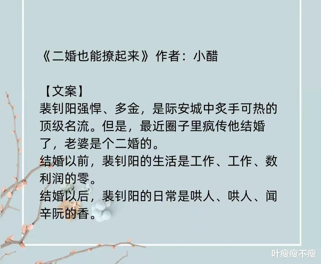 最新二婚小說，小巷深處的浪漫故事