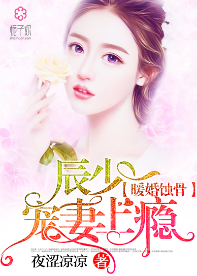 陸少寵上癮最新動態(tài)，日常趣事與真摯友情的獨(dú)特魅力